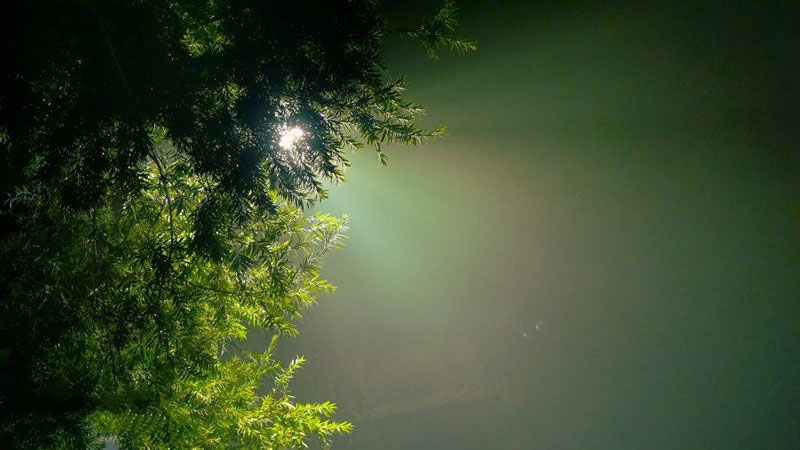 北美極端高溫天氣是因為“熱穹頂”? 北美極端高溫天氣是因為“熱穹頂”?