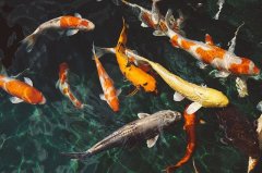 仲秋季兩種天氣釣魚爆護幾率增加不少